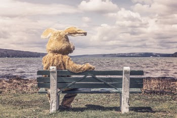 Bunny on Park Bench Free Photo 