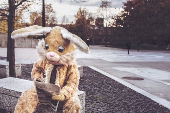 Bunny Reading Newspaper Free Photo 