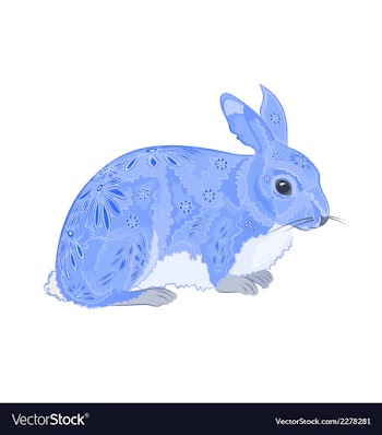 Bunny vector image