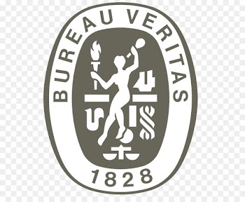 Bureau Veritas Lloyd's Register Technical standard ISO 9000 - Veritas 