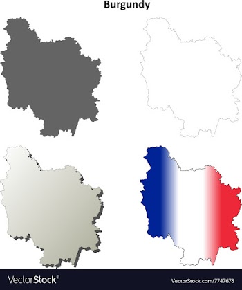Burgundy blank detailed outline map set vector image