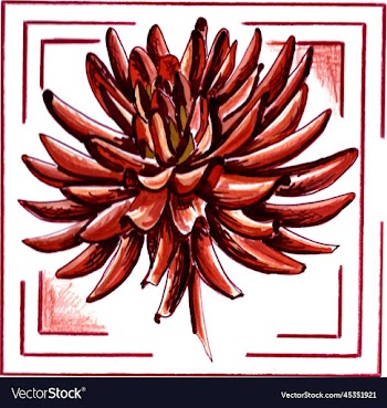 burgundy-brown dahlia in a frame