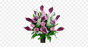 Burgundy Calla Lily - Garden Roses