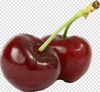 Burlat Cherry Fruit Cerasus Food, cherries transparent background PNG clipart