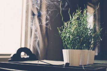 Burned Incense Stick on Container