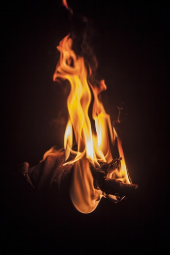 Burned Wood Branches