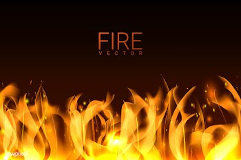 Burning fire background | Free stock vector - 591709