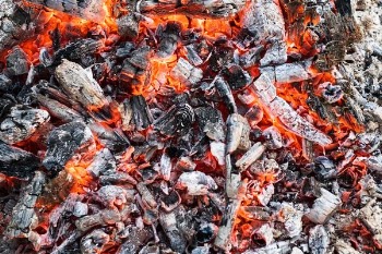 burning firewood photo