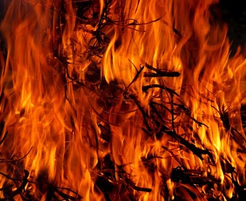 Burning Tree in Time Lapse