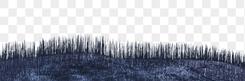 Burnt field png border sticker, | Free PNG - rawpixel