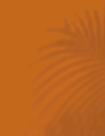 Burnt orange background, palm leaf | Free Photo - rawpixel