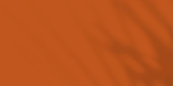 Burnt orange background, palm leaf | Free Photo - rawpixel