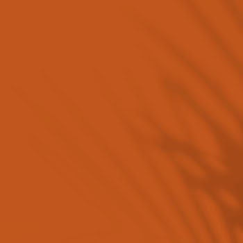 Burnt orange background, palm leaf | Free Photo - rawpixel
