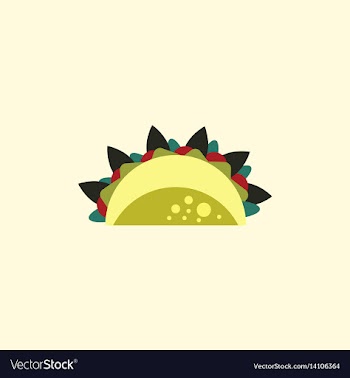 Burrito falafel wrap pita bread vector image