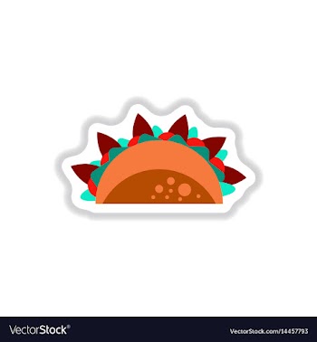 Burrito falafel wrap pita bread vector image