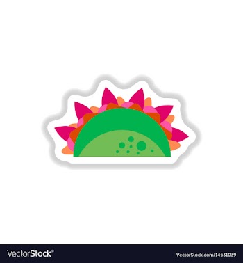 Burrito falafel wrap pita bread vector image