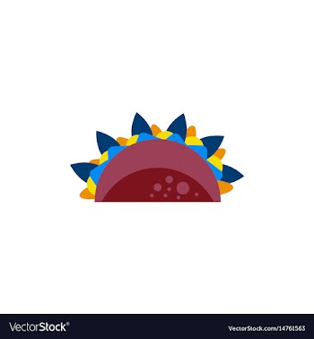 Burrito falafel wrap pita bread vector image
