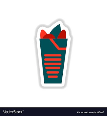 Burrito falafel wrap pita bread vector image