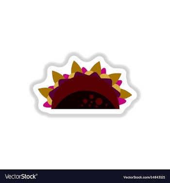 Burrito falafel wrap pita bread vector image