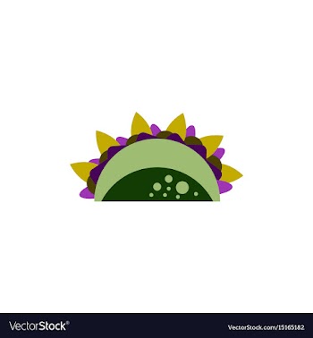 Burrito falafel wrap pita bread vector image