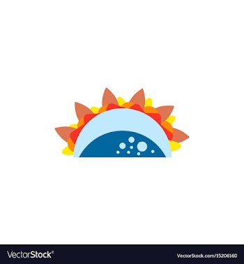 Burrito falafel wrap pita bread vector image