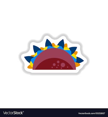 Burrito falafel wrap pita bread vector image