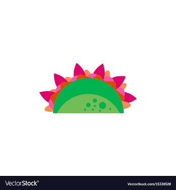 Burrito falafel wrap pita bread vector image