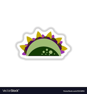 Burrito falafel wrap pita bread vector image