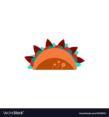Burrito falafel wrap pita bread vector image