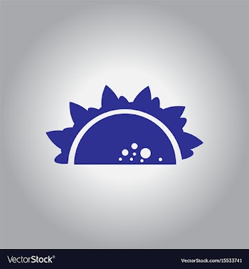 Burrito falafel wrap pita bread vector image