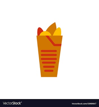 Burrito falafel wrap pita bread vector image
