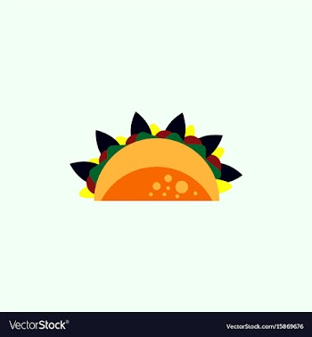 Burrito falafel wrap pita bread vector image