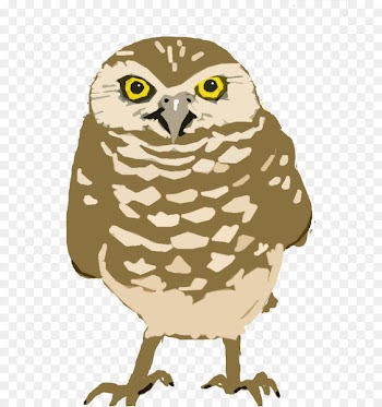 Burrowing owl Bird Cornell Lab of Ornithology Great horned owl - nuke flyer 