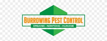 Burrowing Pest Control - Graphic Design