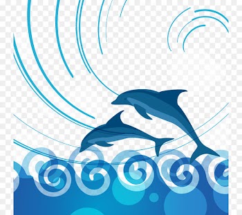 Burrunan dolphin - Vector dolphins leap 