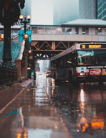 Bus On Road