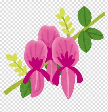 Bush clovers Nanakusa-no-sekku Flower Chinese silver grass Petal, flower transparent background PNG clipart