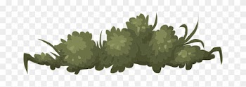 Bush Nature Green Leaves Outdoor Environme - Clip Art