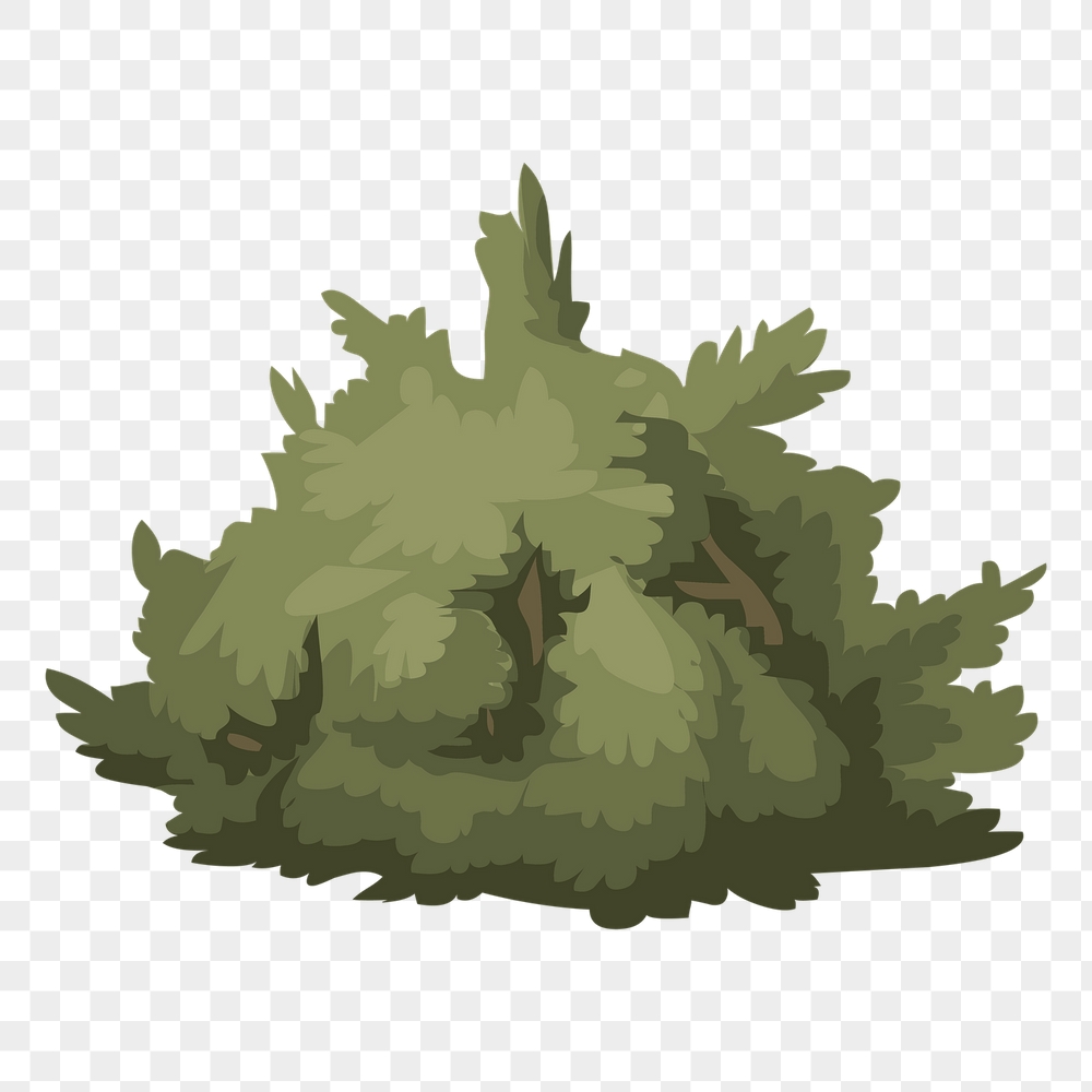 Bush png sticker nature illustration, | Free PNG - rawpixel