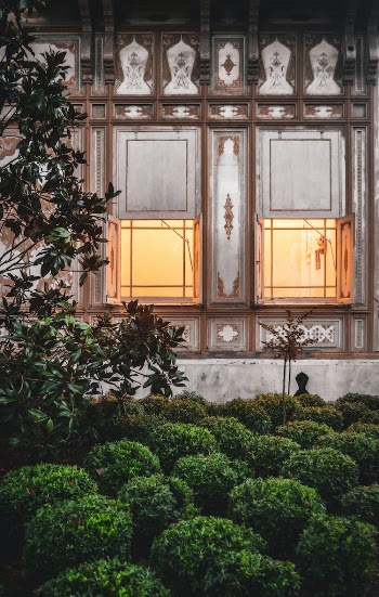 Bushes near Building Windows