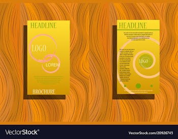 Business bifold brochure or magazine cover design vector image