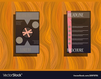 Business bifold brochure or magazine cover design vector image
