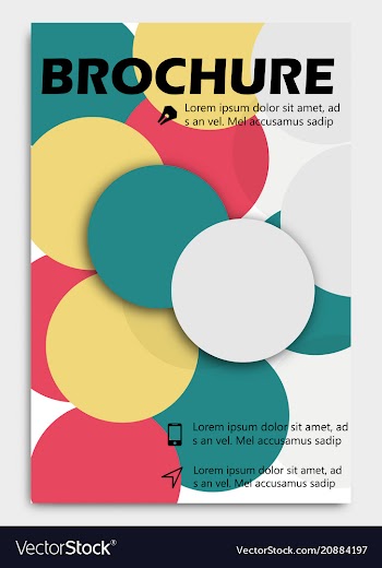 Business brochure design template flyer layout vector image