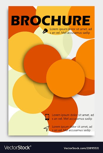 Business brochure design template flyer layout vector image