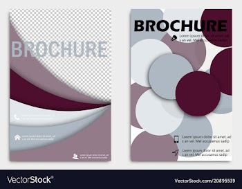 Business brochure design template flyer layout vector image
