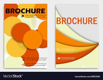 Business brochure design template flyer layout vector image
