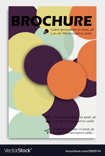 Business brochure design template flyer layout vector image