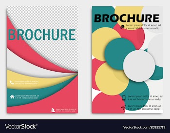 Business brochure design template flyer layout vector image