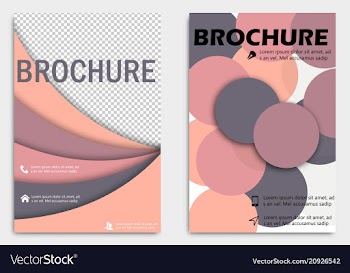 Business brochure design template flyer layout vector image