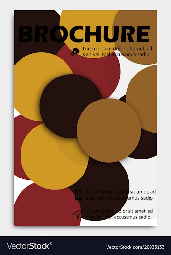 Business brochure design template flyer layout vector image